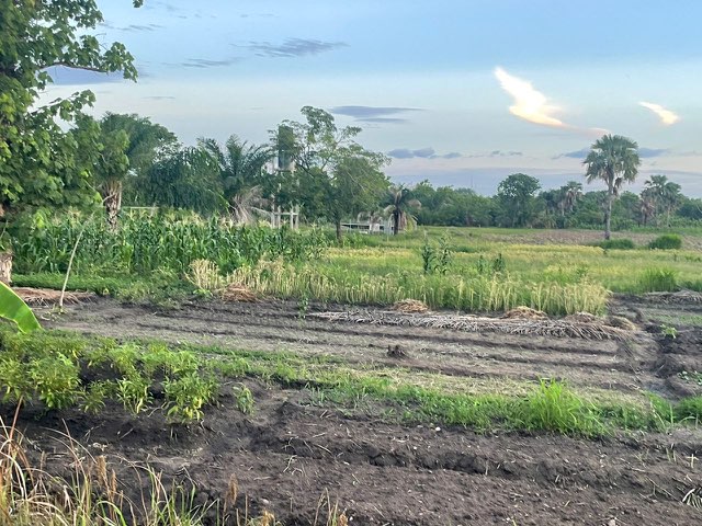 Okpè Olouwa garden